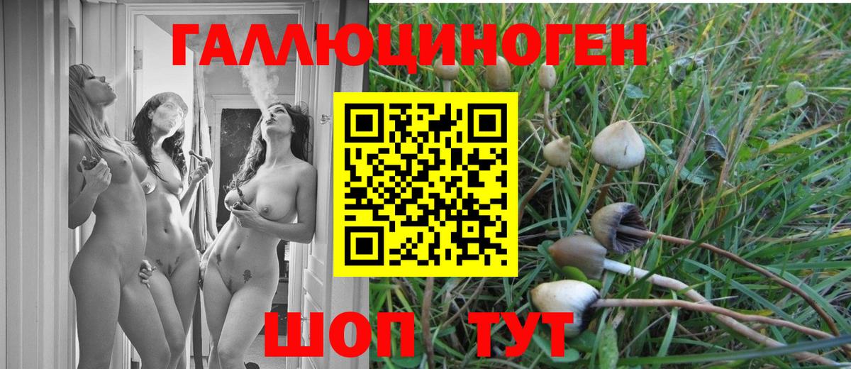 Приморско-Ахтарск  Псилоцибиновые грибы мицелий  Галлюциногенные грибы Psilocybine cubensis  Вход с VPN 